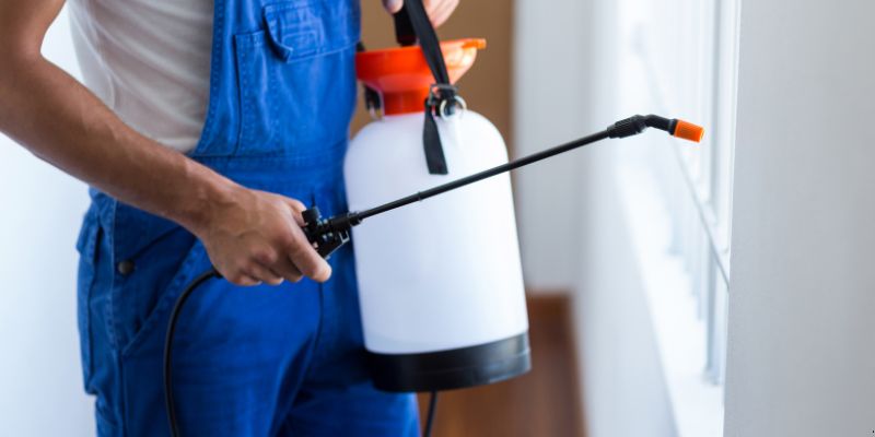 Como fazer dedetização em casa em Santo André