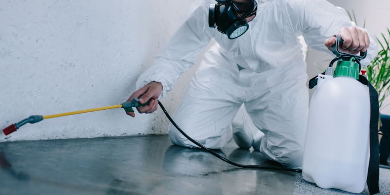 Como é feita a dedetização de baratas em Santo André