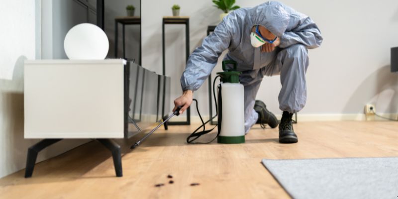 Quanto Tempo Dura Uma Dedetização em Santo André? Confira! Quanto tempo dura uma dedetização em Santo André?